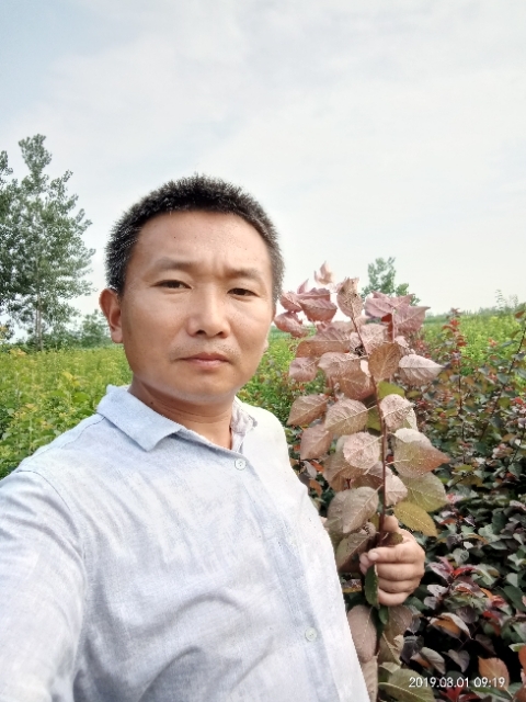 孩子爸的第二张照片--兰州相亲服务中心