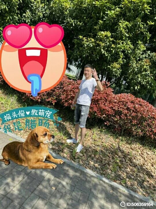 我若不坚强谁替我勇敢的第五张照片--兰州相亲服务中心